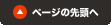 y[W̐擪